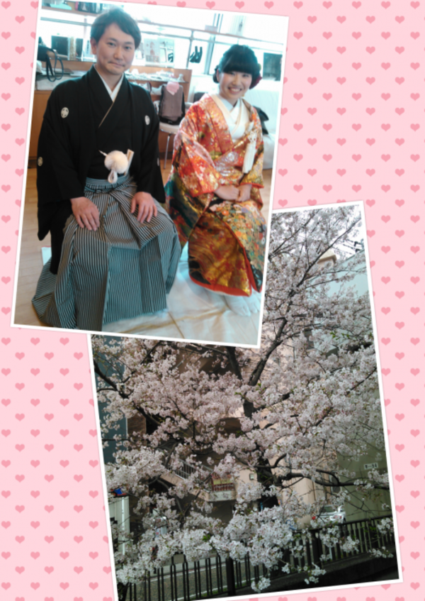 和装前撮り、桜満開の横浜に出張着付け！サムネイル